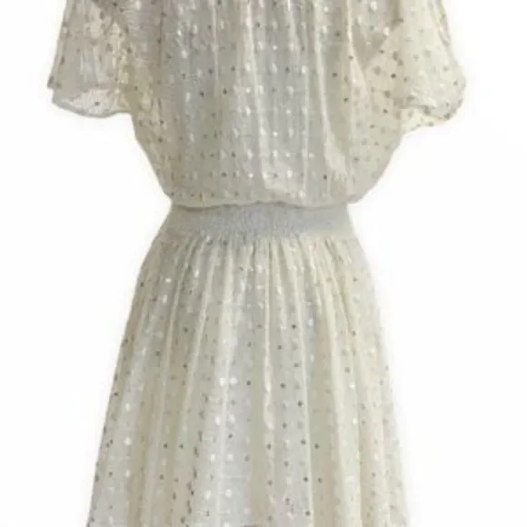 LEIFNOTES Net Dot & Gleam Sequin mesh asymmetrical short sleeve Dress size 4 - Picture 7 of 15